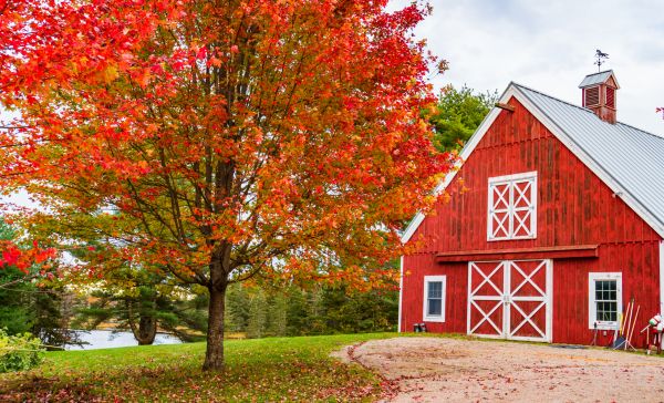 Barn Installation Service